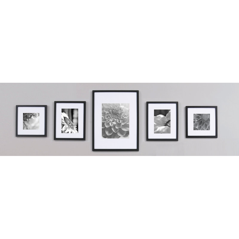 Wayfair Basics™ Wayfair Basics 5 Piece Picture Frame Set & Reviews